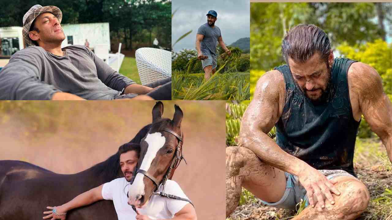 image of Salman Khan Arpita Farms