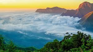 image of 